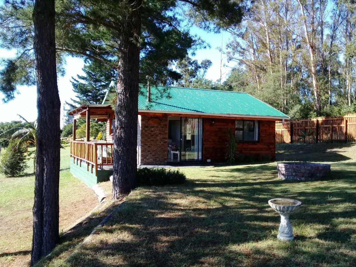سيدجفيلد Wild Fig Cottage المظهر الخارجي الصورة