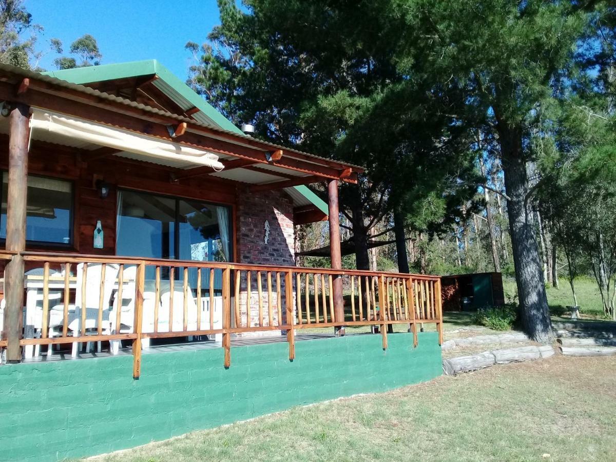 سيدجفيلد Wild Fig Cottage المظهر الخارجي الصورة