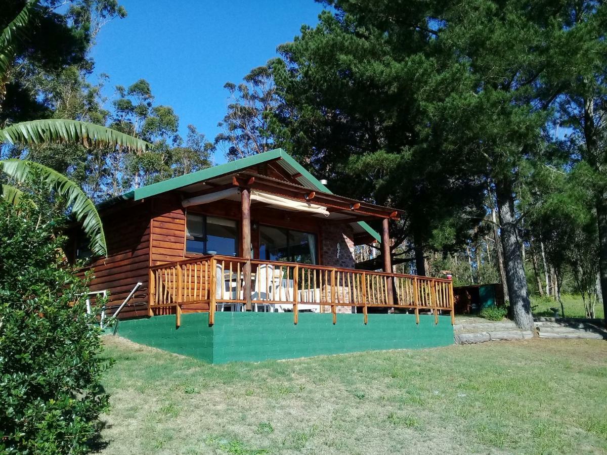 سيدجفيلد Wild Fig Cottage المظهر الخارجي الصورة
